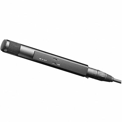 Image of Sennheiser MKH 30P48 RF Condenser Microphone