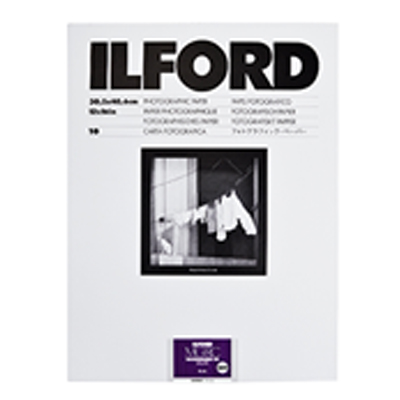 Image of Ilford MGRCDL1M 305x406cm 10